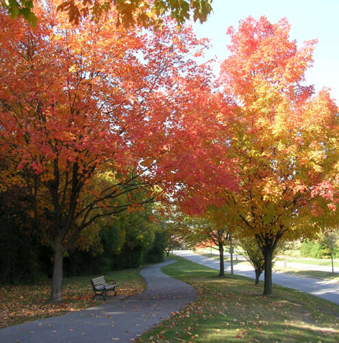 Woodridge Bikeways System - Woodridge Park District